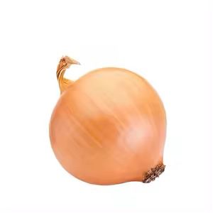 Imported food product 16