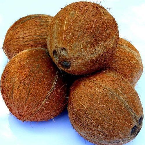 Imported food product 21