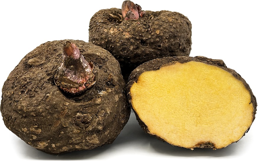 Imported food product 22