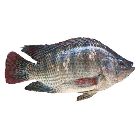 Imported food product 76