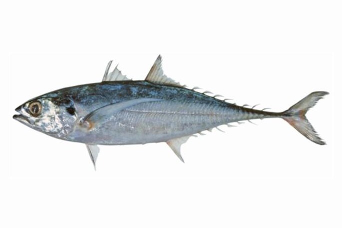 Imported food product 77